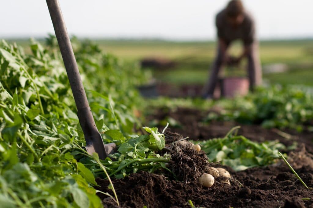 Agroecology  Promotion Programme (APP)