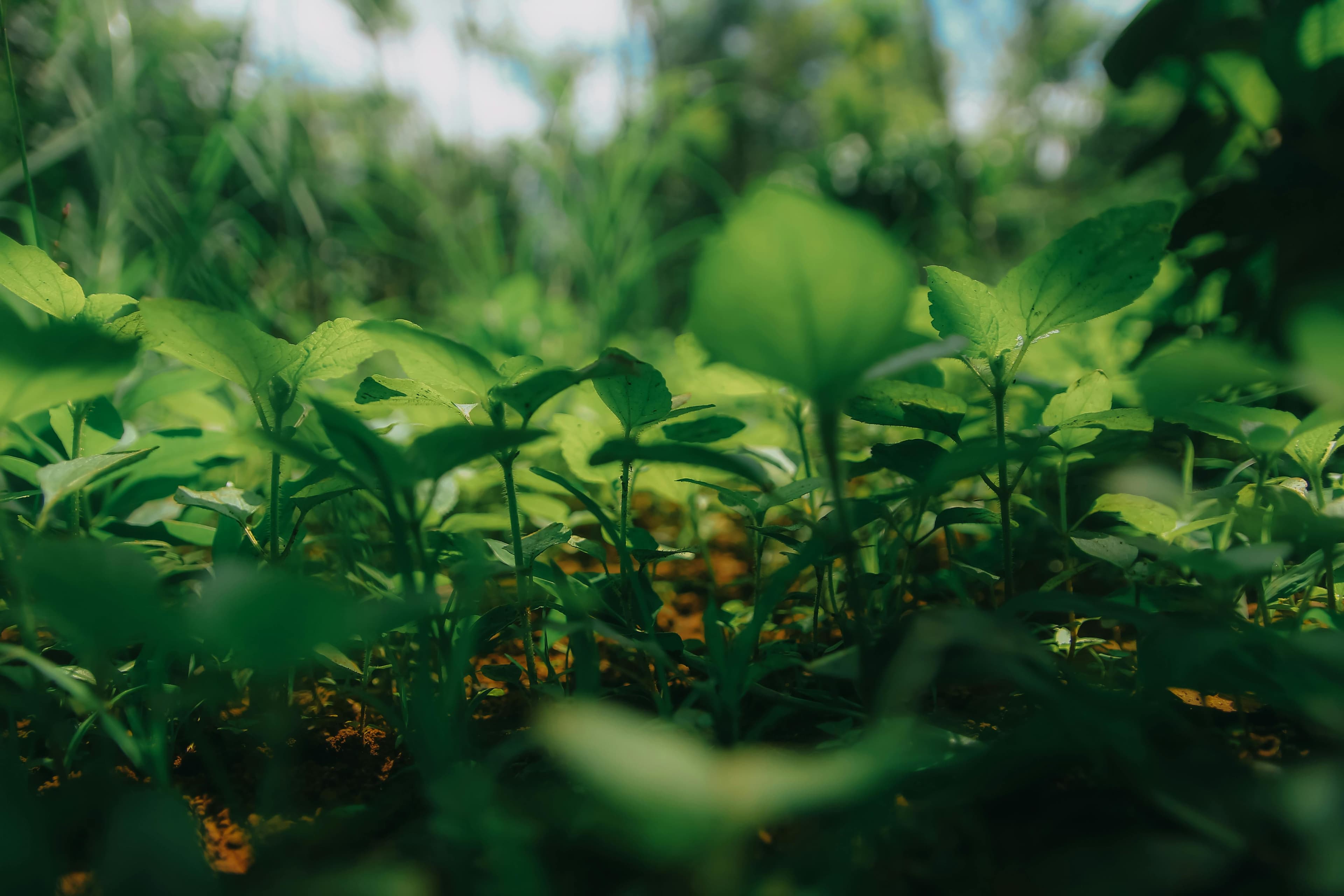 Organic Farming Cooperative